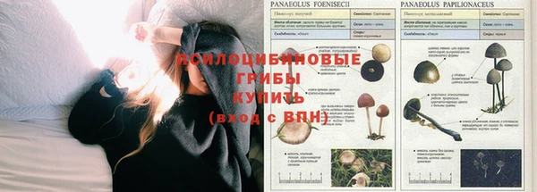 СК Армянск