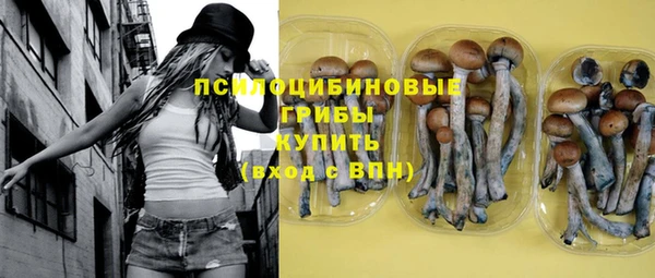 СК Армянск
