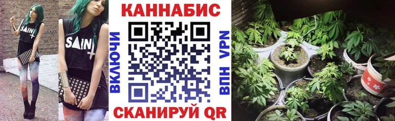 Канабис семена  цены   Мамадыш 